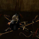 Thumb 64d87a5ccff2630f416857bf