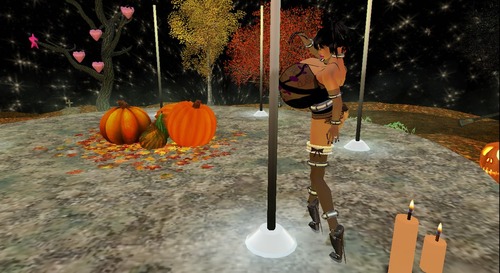 Web 526d1187528a9665d0000001