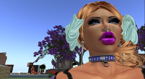 Web 5278010b72229163b0000001