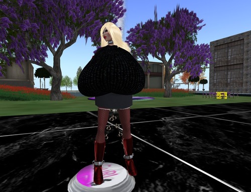 Web 528650035d3e7b7217000001