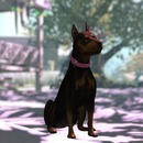 Thumb 50b0ec3cf585194dfb000001