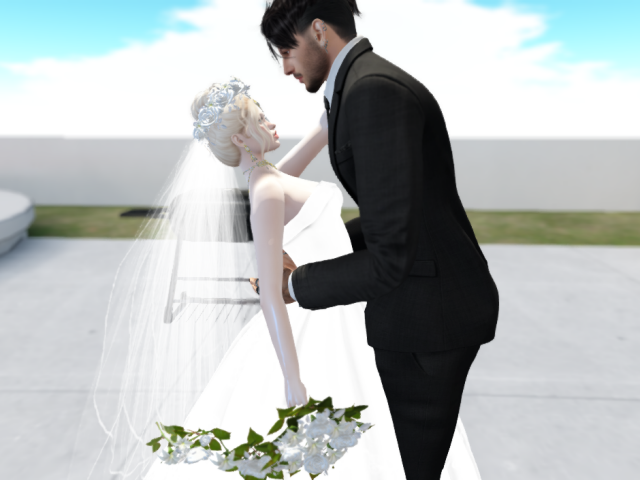 Original 63dd98debbbc664830bd3da7