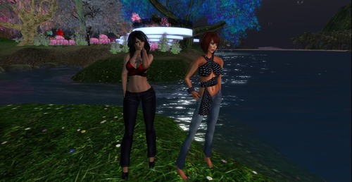 Web 50f34155d7ab6470e7000001