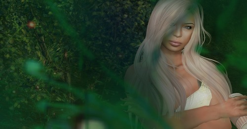 Web 553f02be8da5727f0c000001