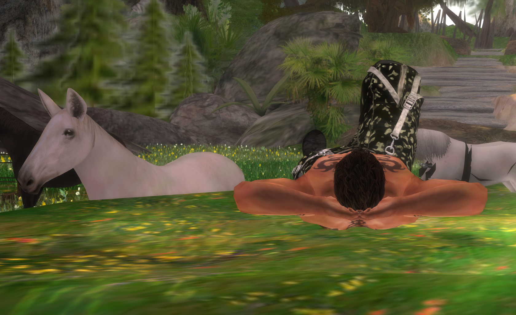 Original 53e3c222f8a1ec4e72000001