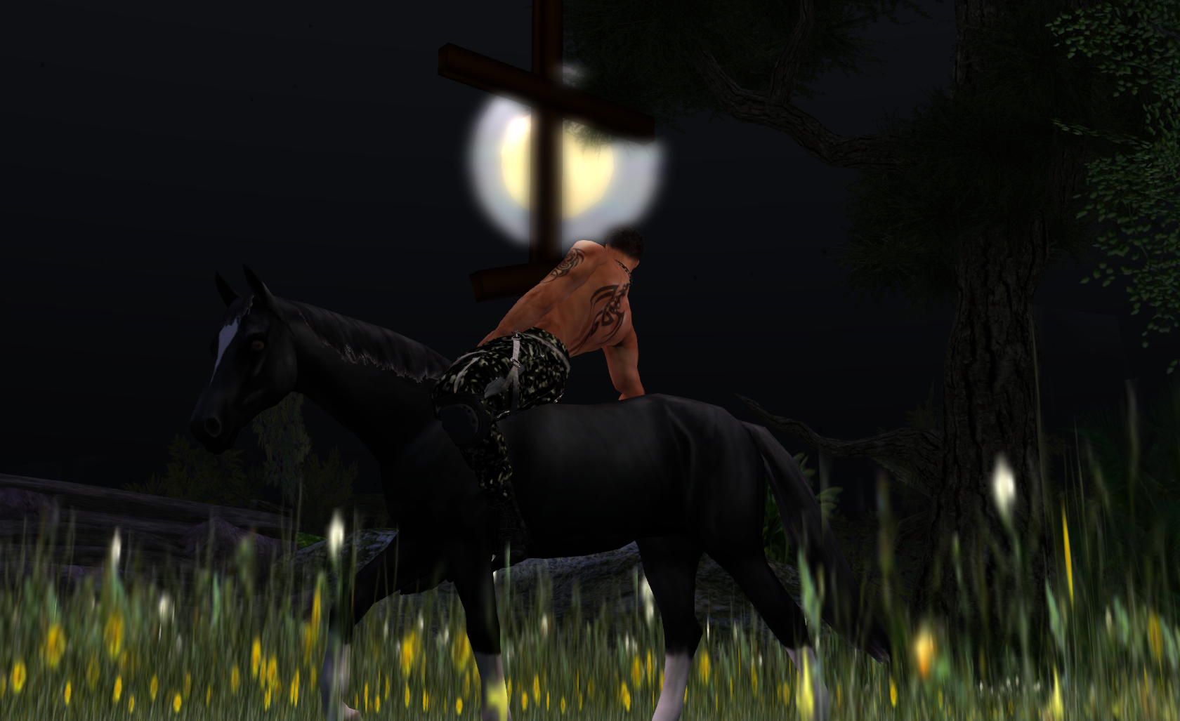 Original 53e3d45e8da5720b55000001