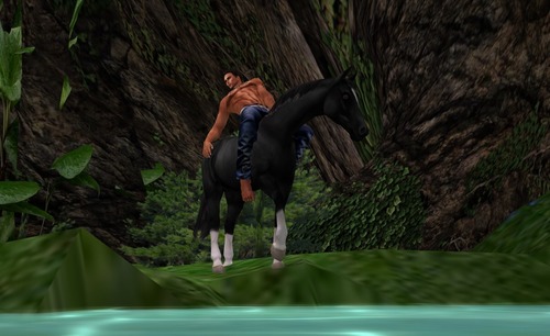 Web 53e102b4f8a1ec4f88000001