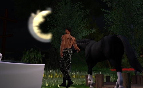 Web 53e3d007f8a1ec430a000001