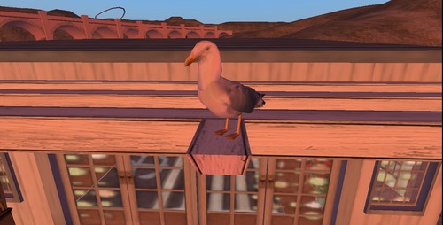 Web 54030f958da5722cc2000001