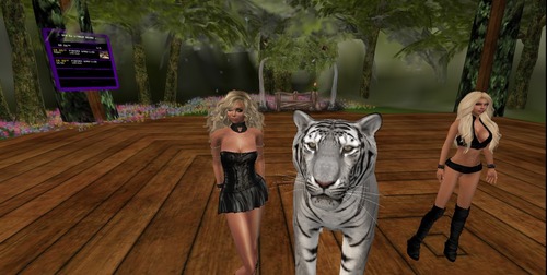 Web 5425c27e128cc92252000001