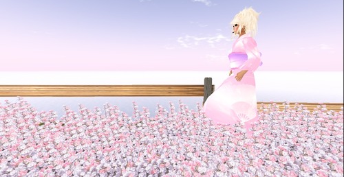 Web 4fda715f102e7a33de000001