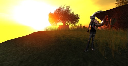 Web 4fdbe13dfff4932626000001