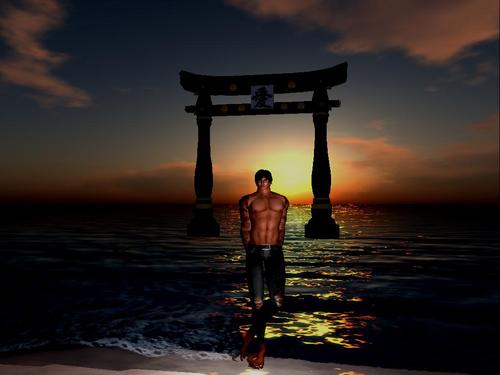 Web 5abf9d46d9859c6974000001