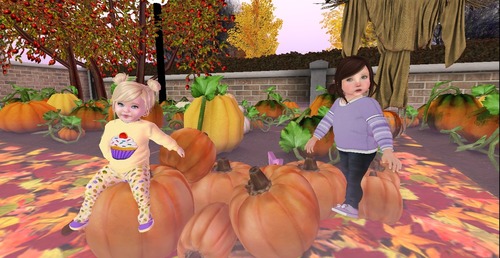 Web 560f8f49128cc97c23000001