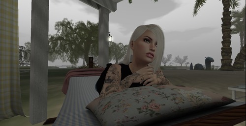 Web 569caaf8128cc97554000001