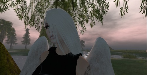 Web 569cabbc9934e05d40000001