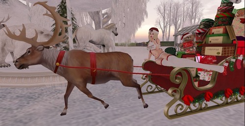 Web 58483eb4e85cda4cc9000001