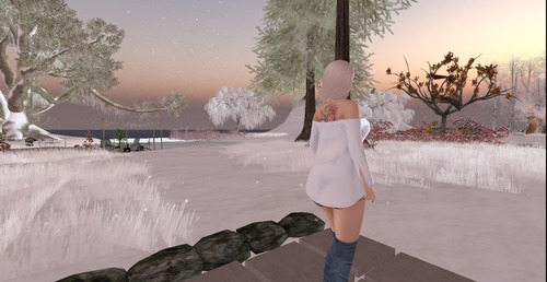 Web 58526f9af8a1ec658c000001