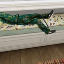 Thumb 5353b9a4a73e210fe2000001