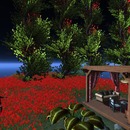 Thumb 55e62595f8a1ec7786000001