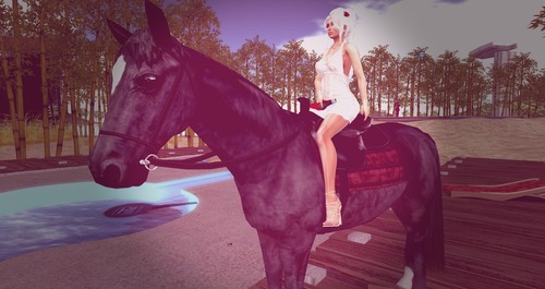 Web 57e2710ce85cda2883000001