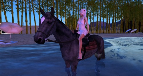 Web 57e27699b015401595000001