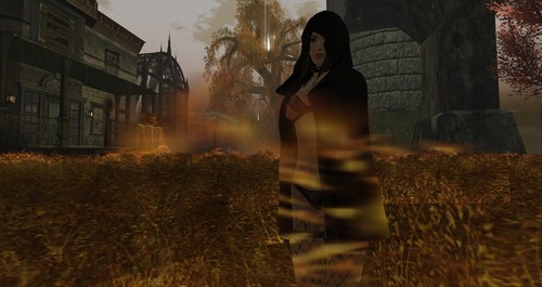 Web 58005895e85cda5291000001