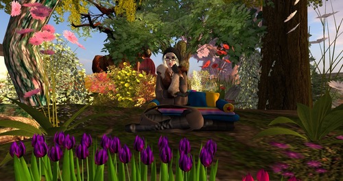 Web 5889cd58e85cda73dc000001