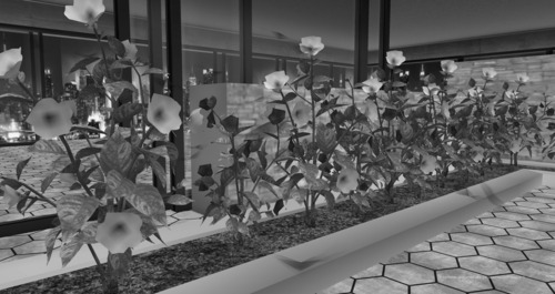 Web 589da107b015404993000001