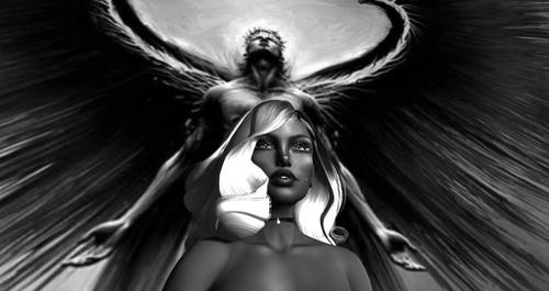 Web 5cda1e2cd774f851e3000001