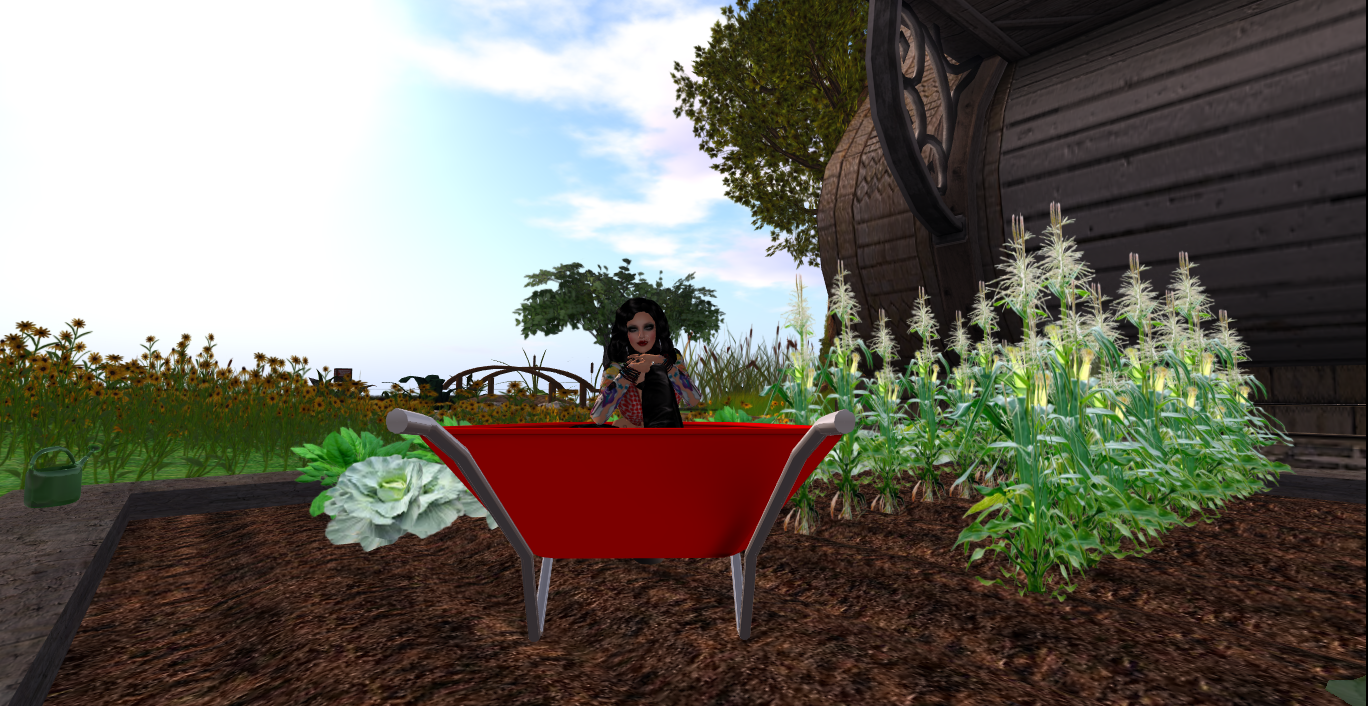 Original 514c42f6bee8681f0e000001