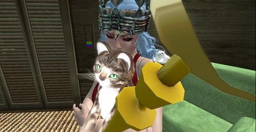 Web 562ef46f3f942f5a4f000001