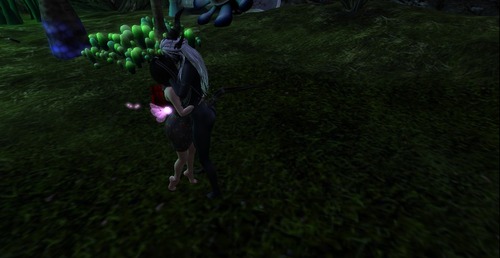 Web 56486e2d9934e03dbd000001