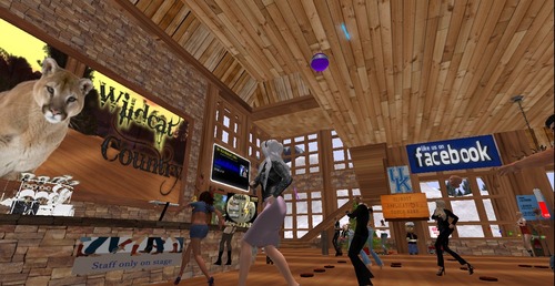 Web 5663ad4bf8a1ec4a1c000001