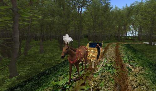 Web 594f05b9289dd24421000001