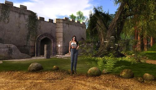 Web 59e3a23dd9859c5d76000001