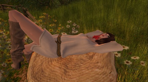 Web 513f0baed14497228f000001