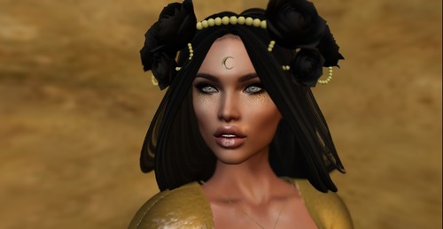 Web 57e050ddb0154021f0000001