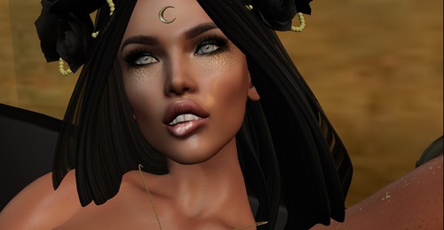 Web 57e05526e85cda64a2000001