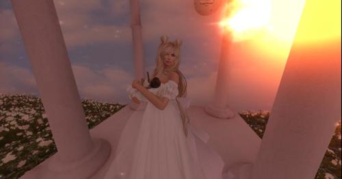 Web 59663971d9859c4068000001