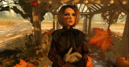 Web 59e3a8f073ed17694f000001