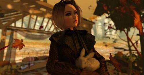 Web 59e3a95a73ed176ddc000001