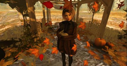 Web 59e3a9ab73ed177253000001