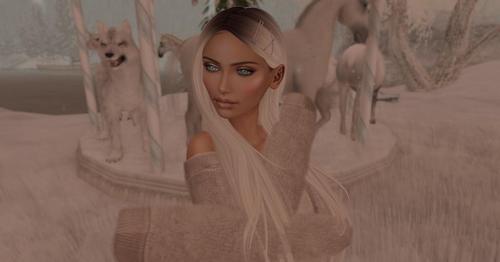 Web 5c03d4a3d9859c5278000001