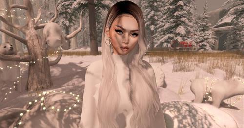 Web 5c28846ad774f81f00000001