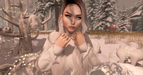 Web 5c2885b273ed173cb2000001