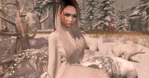 Web 5c288613d774f827a2000001