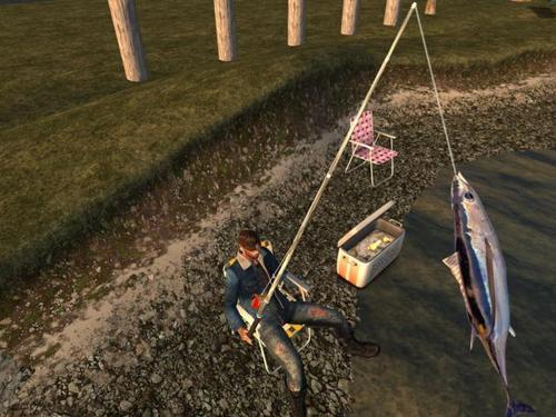 Web 5ece8537d774f84193b89d9e