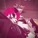 Thumb 5884d4b1f8a1ec7d63000001