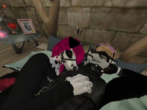 Web 5925dc40d774f8168e000001